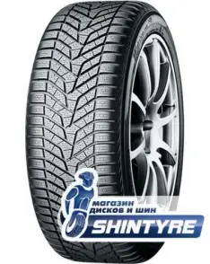 BluEarth Winter V905