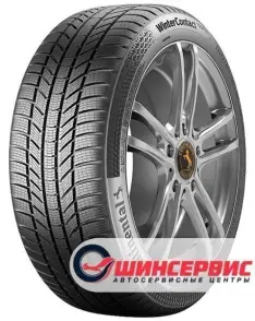 WinterContact TS 870 P