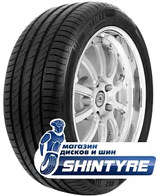 Delinte 245/65 R17 DS-2 SUV 107H