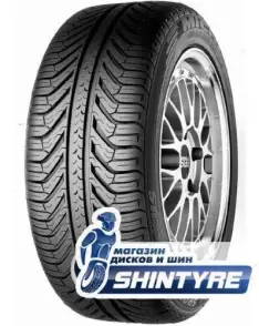 Pilot Sport A/S Plus