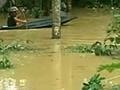 Наводнение подтопило каучуковые плантации в Таиланде и Малайзии